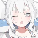 rim_.s2