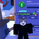 snxkes