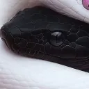 demonicbitch0321