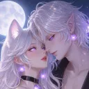 salem_wcomplex
