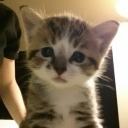 avatar isaac’s baby