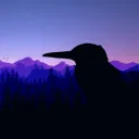 kingfisher.0731