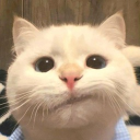 avatar !NEDNED
