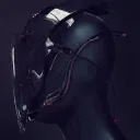silent_ninja644
