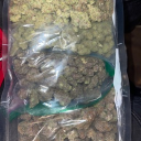 motion.03#1453's avatar