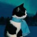 wirox_fr