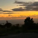 akram_8544