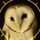 scalesandfeathers