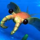 kaktusowy1234 avatar