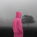 bzxsj