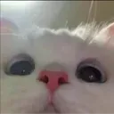 ryzencloud.in