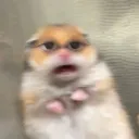 andypakey