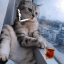 relaxdcat
