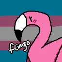 _flingo_