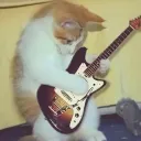 dinklebamp417