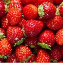 strawberrye1