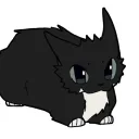 kitsy0792 avatar