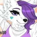 v4nswfty