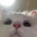 j_squeeze__35394