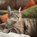 nick1996#5394's avatar