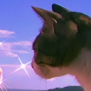 avatar Pugsy