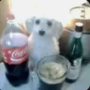 esotilin_marc avatar