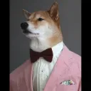 saggydog1