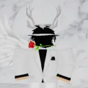 diarm0q avatar