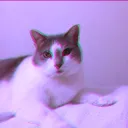 t_aldrich_offical