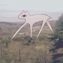 ⋆˚.🪻⋆ Ellie (Soup) ⋆.˚🦋.𖥔 ݁ ˖