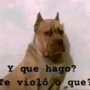 wachoatrevidomai213