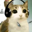 zarobek