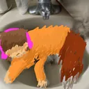 skribbldkat
