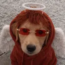 barkingangel