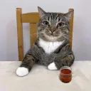 janehehecutiestgirlintheworld avatar