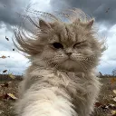 .thunderop.