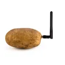deathpotato.exe