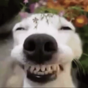 supaustyn#3129's avatar