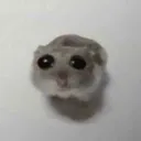 vaccum_696