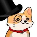 corgipug