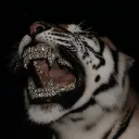 ivan_cv_2009
