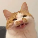 phoosy