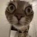 whoopfpv