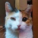 permablue