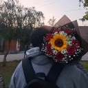 Fxrmis7