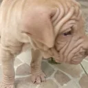 antho0517_12230 avatar