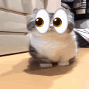 avatar harvey's bunny