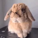 lucky_bunnyy