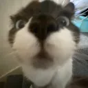 moondagoat111