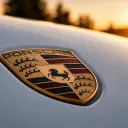 goscat497